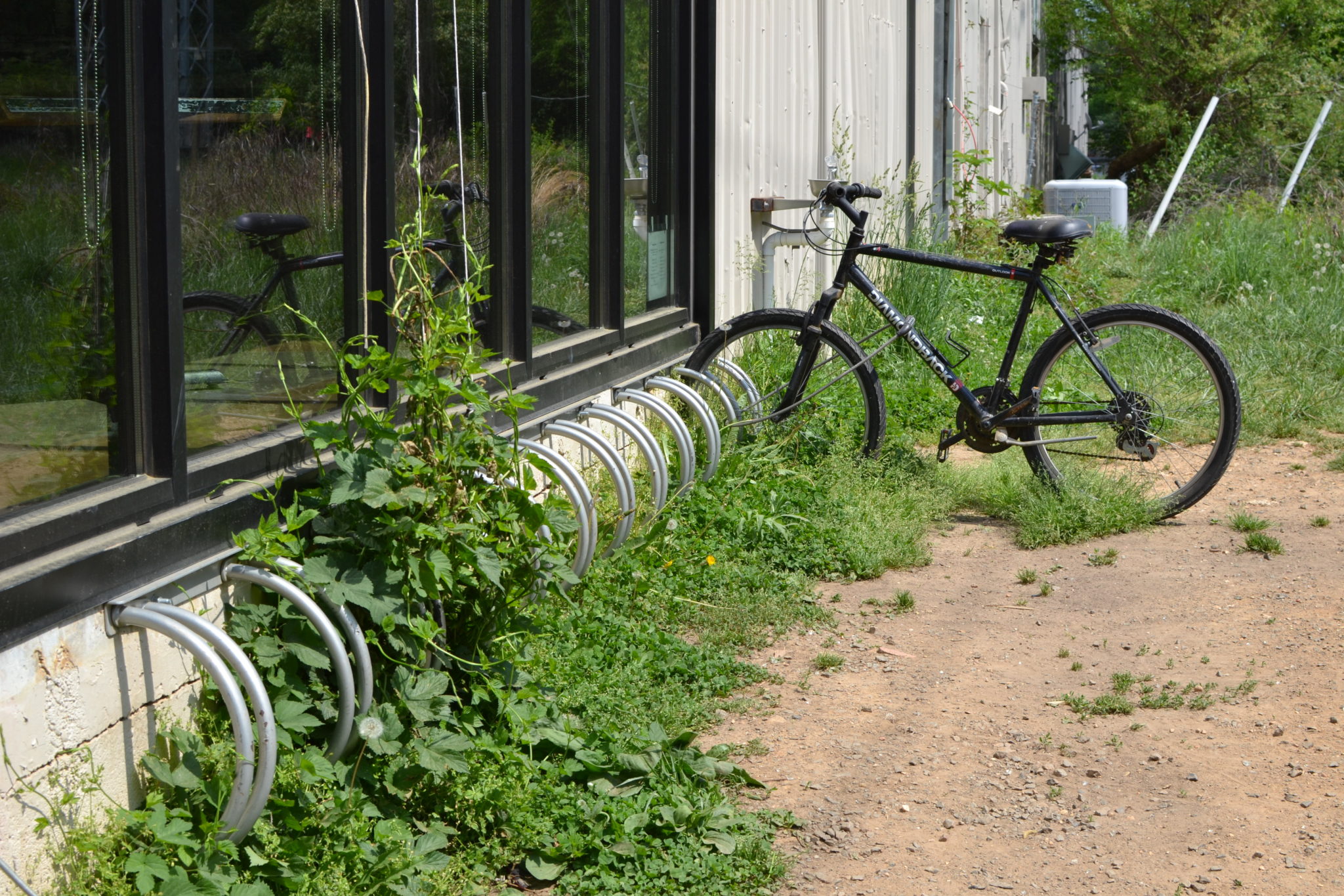 caboose-tavern-in-vienna-virginia-local-brewpub